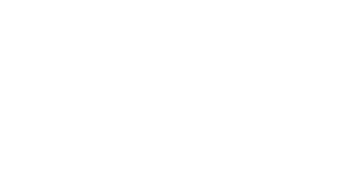 lonestar mold testing logo white